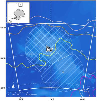 Time-Dynamic Food Web Modeling to Explore Environmental Drivers of Ecosystem Change on the Kerguelen Plateau